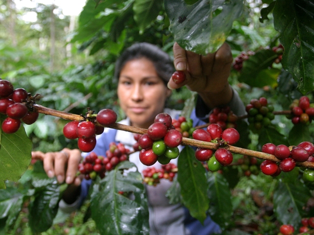 Café colombiano Wall Street