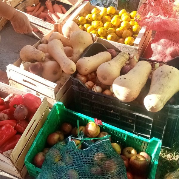 Frutas y verduras